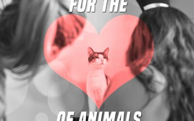 For The Love Of Animals